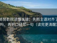 努努影院读懂关键：先抓主语对齐了吗，再把口径写一句（读完更清醒）