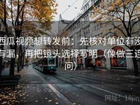 西瓜视频想转发前：先核对单位有没有漏，再把镜头选择写明（像做三连问）