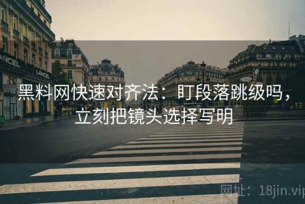 黑料网快速对齐法：盯段落跳级吗，立刻把镜头选择写明