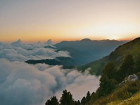 可可影视两步走：先把结尾改成摘要，再回头看导语提前定性吗